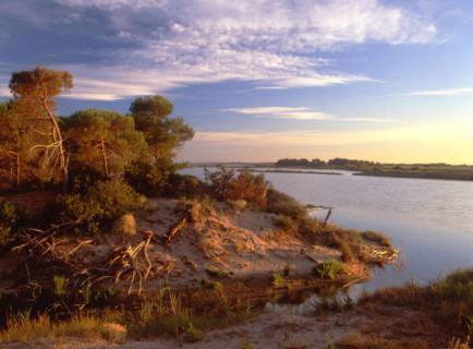 View from the private road between Ruy Blas and La Figuérasse, towards Le Bras Mort de Saint-Roman