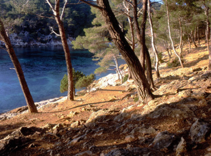 Port d'Alon