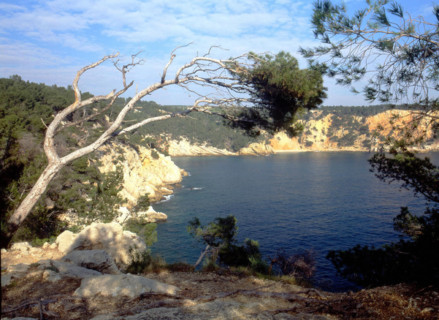 Baie de la Moutte