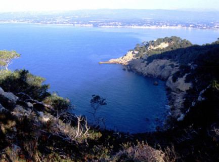 Pointe Grenier. In the distance, La Ciotat