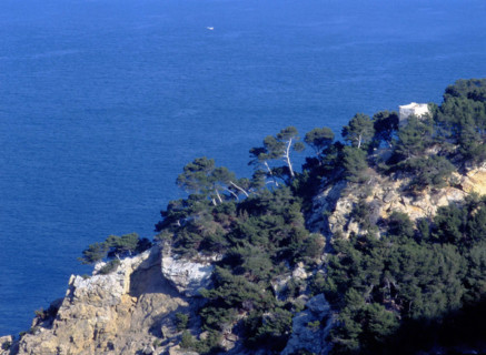 Pointe Grenier. In the distance, La Ciotat