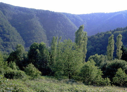 Vue du pont de la D1 (à Laifour) en direction des vallons des Dames de Meuse