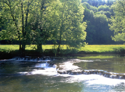 Nassis aux environs de Pont les moulins