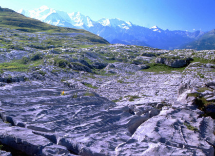 Vue des environs des chalets de Platé en direction de Massif du Mont-Blanc