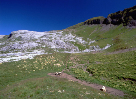 Vue des environs de la Pointe de Platé en direction des Grandes Platières et des Châteaux de Cran