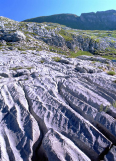 Vue des environs des chalets de Platé en direction de la Pointe de Platé, détail de lapiaz