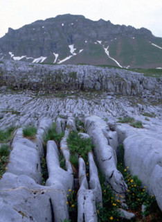 Vue des environs des chalets de Platé en direction de la Pointe de Platé, détail de lapiaz