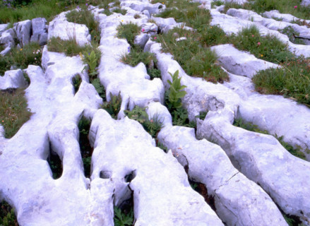 Environs des chalets de Platé, détail de lapiaz