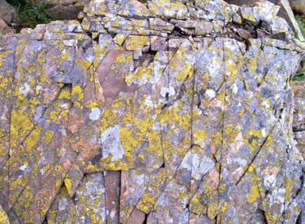 Détail de rocher