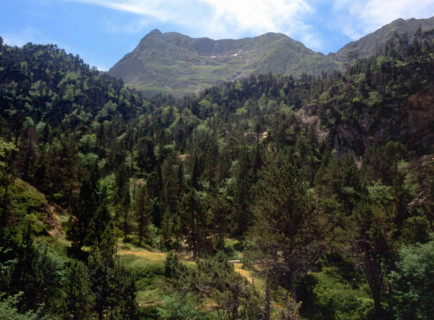 Pic Pétar vu du refuge de la Soula