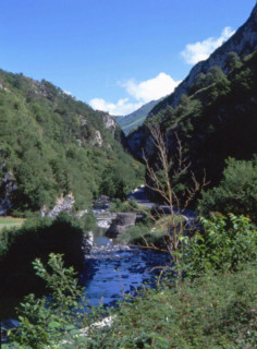 Vue de l'Estanguet en direction du nord. Au centre, le gave d'Aspe