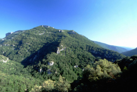 Vue de la D942, aux environs de la limite ouest du site, en direction du sud
