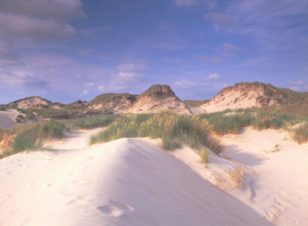 Dunes au nord de Fort-Mahon-Plage