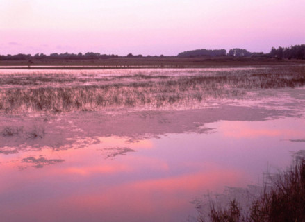 La Bassée, marais du Crotoy