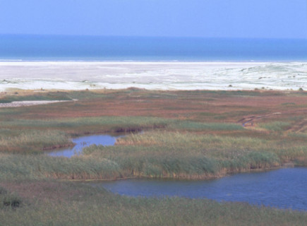 Anse Bidard, dunes and marsh