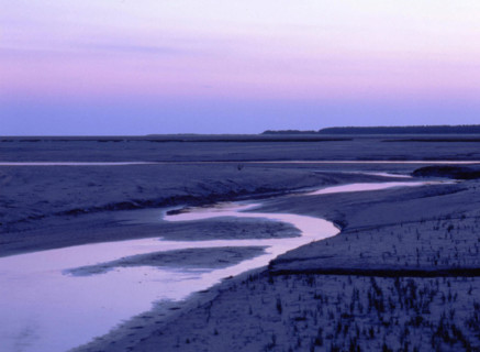 Pointe à Guille, view towards the road to Rue