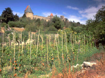 Carcassonne, Languedoc-Roussillon region (South of France)