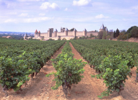 Carcassonne, Languedoc-Roussillon region (South of France)