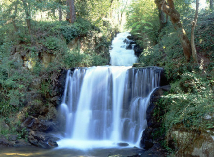 Saint-Ferréol Lake, the park (waterall)