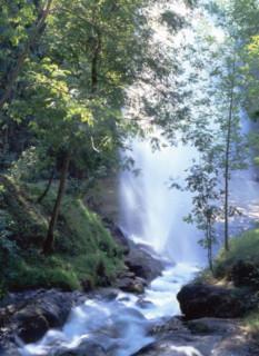 Saint-Ferréol Lake, the park (large shower)