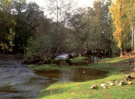 Vue des environs de Douce en direction de l'aval