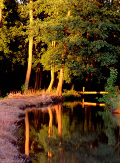 Ile-de-France : vallée de l'Orvanne
Le Moulin-Neuf, entre Thoury-Férottes et Voulx