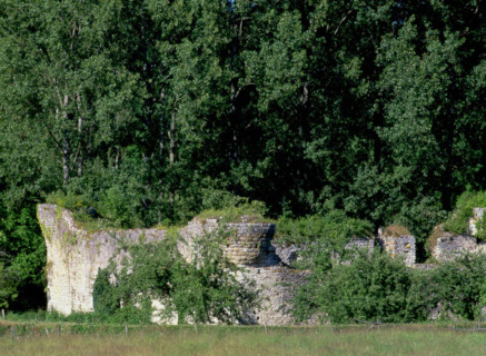 Ile-de-France : vallée de l'Orvanne
Ruines du château fort de Challeau