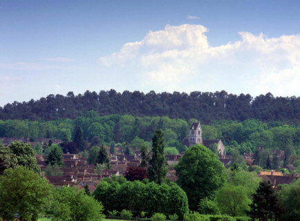 Ile-de-France : Bois de la Commanderie
Vue de la route de Recloses à Villiers-sous-Grez