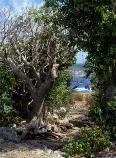 Guadeloupe : pointe de la Grande Vigie : de la pointe de la Grande Vigie vers pointe du Capucin