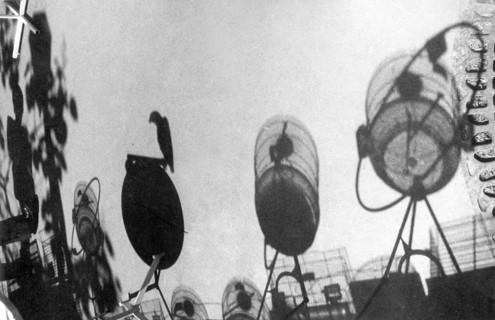 Birds' cages on the Quai de la Mégisserie, Paris