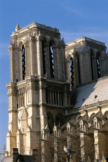Les tours de la Cathédrale Notre-Dame, Paris