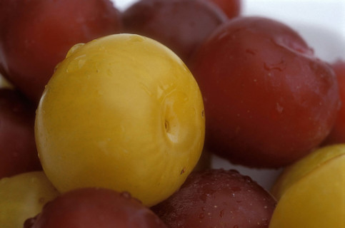 Prunes