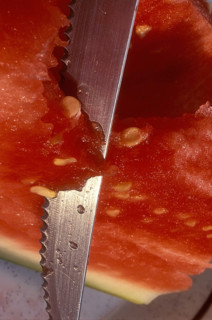 Pastèque
