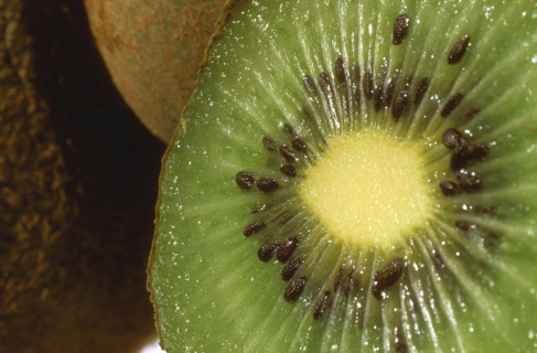Kiwi