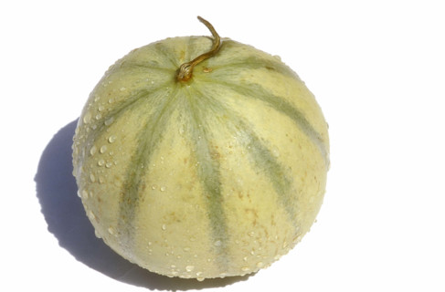 Melon