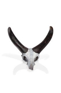 Morris, Trophy