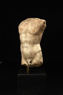 Torse masculin