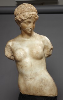 Buste d'Hermaphrodite