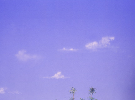 Cloudy sky. Painted canvas tarp