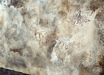 Fresco. Painted canvas tarp with trompe l'oeil effects