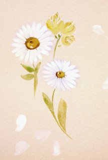 Flowers. Painted canvas tarp
