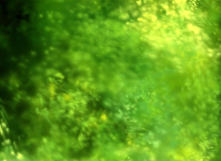 Painted canvas tarp. Vegetation