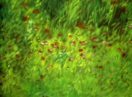 Painted canvas tarp. Vegetation