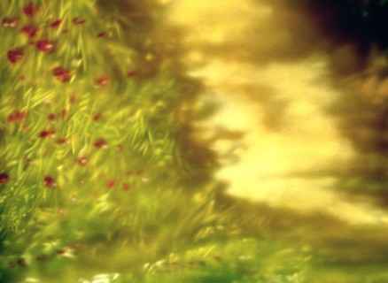 Painted canvas tarp. Vegetation
