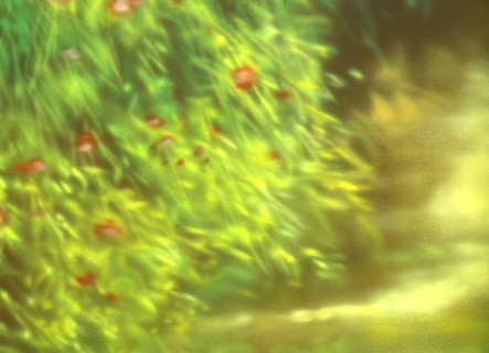 Painted canvas tarp. Vegetation