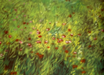 Painted canvas tarp. Vegetation
