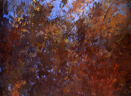 Painted canvas tarp. Tree in autumn