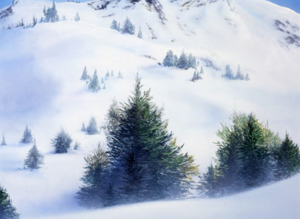 Painted canvas tarp. Mountainous landscape