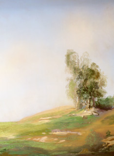 Painted canvas tarp. Landscape