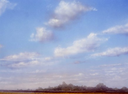 Painted canvas tarp. Landscape